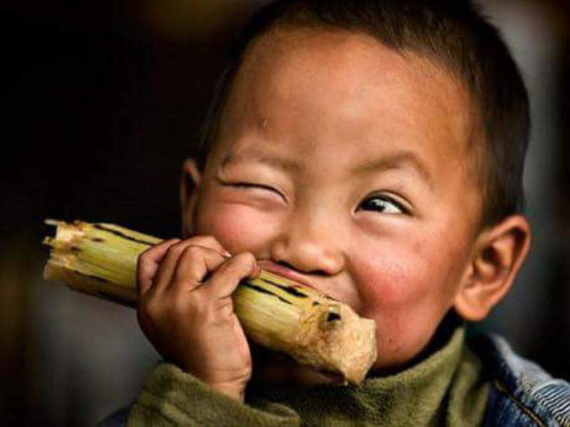 L&agrave;m Thầy phải thế chứ